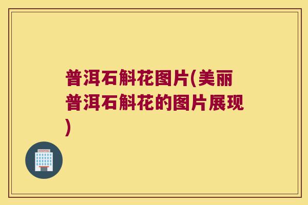 普洱石斛花图片(美丽普洱石斛花的图片展现)