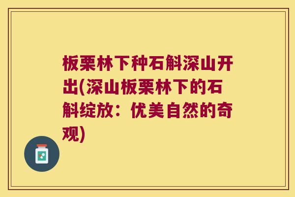 板栗林下种石斛深山开出(深山板栗林下的石斛绽放：优美自然的奇观)