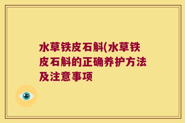 水草铁皮石斛(水草铁皮石斛的正确养护方法及注意事项