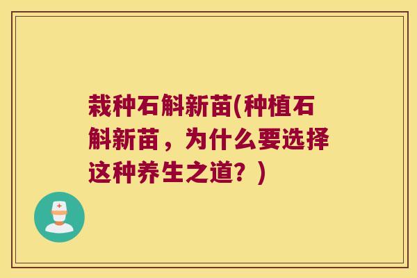 栽种石斛新苗(种植石斛新苗，为什么要选择这种养生之道？)