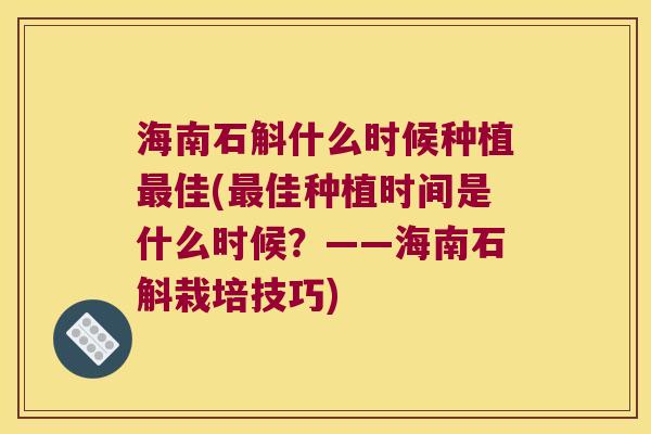 海南石斛什么时候种植最佳(最佳种植时间是什么时候？——海南石斛栽培技巧)