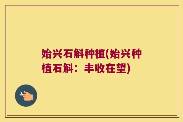 始兴石斛种植(始兴种植石斛：丰收在望)