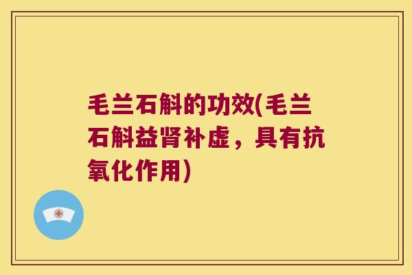 毛兰石斛的功效(毛兰石斛益肾补虚，具有抗氧化作用)