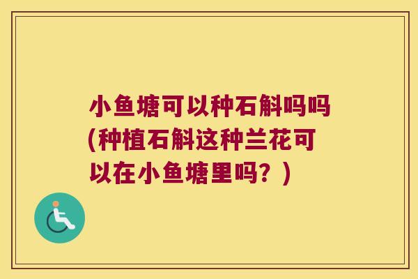 小鱼塘可以种石斛吗吗(种植石斛这种兰花可以在小鱼塘里吗？)