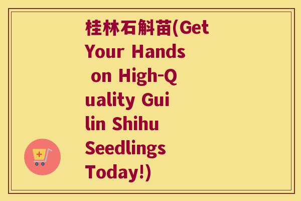 桂林石斛苗(Get Your Hands on High-Quality Guilin Shihu Seedlings Today!)