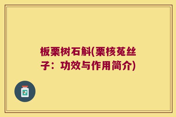 板栗树石斛(栗核菟丝子：功效与作用简介)