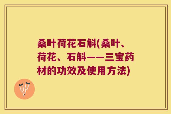 桑叶荷花石斛(桑叶、荷花、石斛——三宝药材的功效及使用方法)