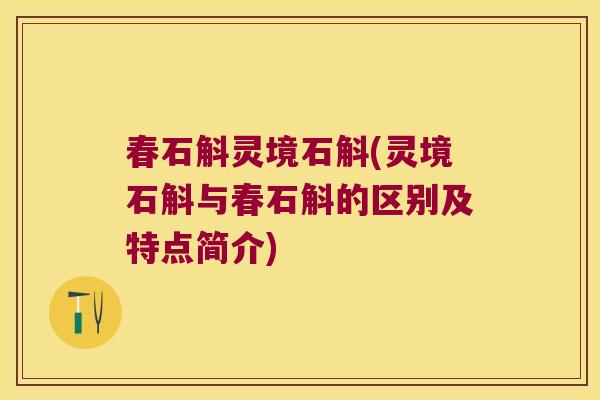 春石斛灵境石斛(灵境石斛与春石斛的区别及特点简介)
