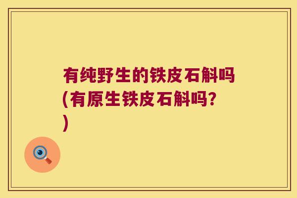 有纯野生的铁皮石斛吗(有原生铁皮石斛吗？)