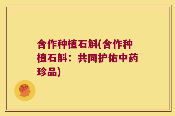 合作种植石斛(合作种植石斛：共同护佑中药珍品)
