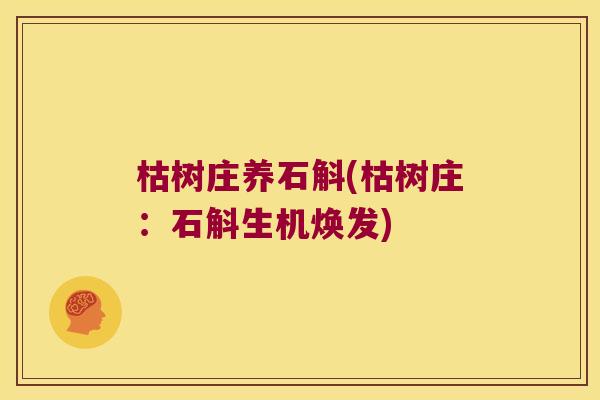 枯树庄养石斛(枯树庄：石斛生机焕发)