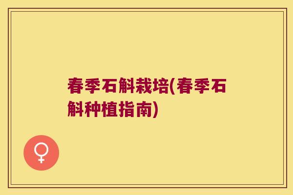 春季石斛栽培(春季石斛种植指南)