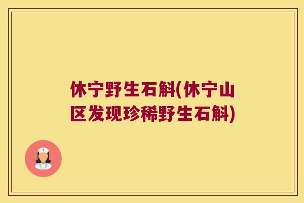 休宁野生石斛(休宁山区发现珍稀野生石斛)