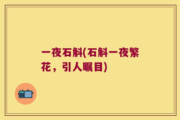 一夜石斛(石斛一夜繁花，引人瞩目)