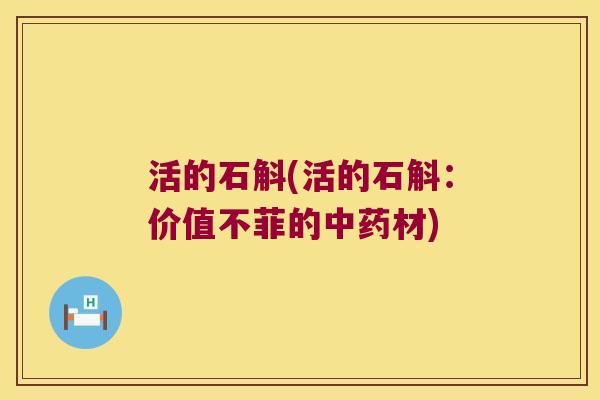 活的石斛(活的石斛：价值不菲的材)