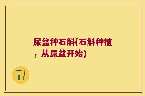 尿盆种石斛(石斛种植，从尿盆开始)