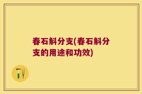 春石斛分支(春石斛分支的用途和功效)