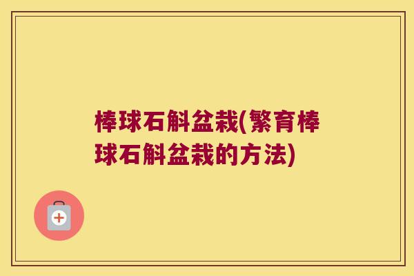 棒球石斛盆栽(繁育棒球石斛盆栽的方法)