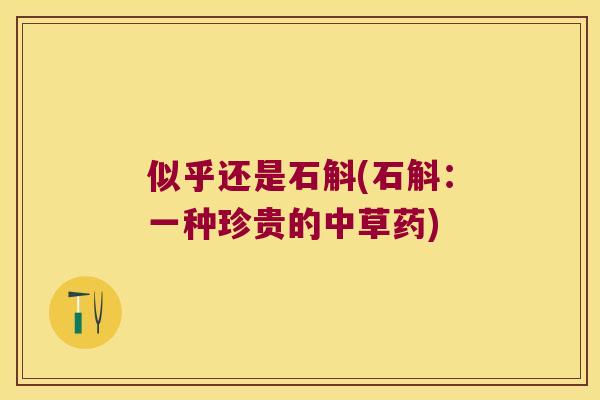 似乎还是石斛(石斛：一种珍贵的中草药)