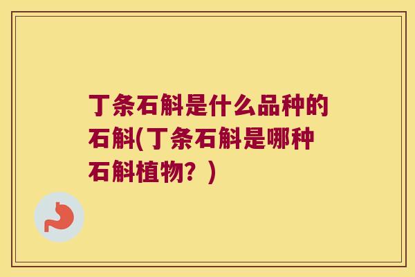 丁条石斛是什么品种的石斛(丁条石斛是哪种石斛植物?) 丁条石斛是什么品种的石斛(丁条石斛是哪种石斛植物?)