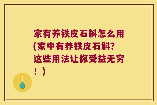 家有养铁皮石斛怎么用(家中有养铁皮石斛？这些用法让你受益无穷！)