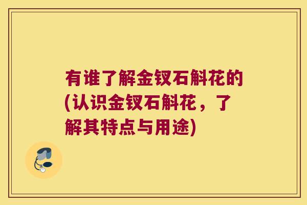 有谁了解金钗石斛花的(认识金钗石斛花，了解其特点与用途)