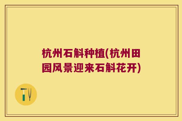 杭州石斛种植(杭州田园风景迎来石斛花开) 杭州石斛种植(杭州田园风景迎来石斛花开)