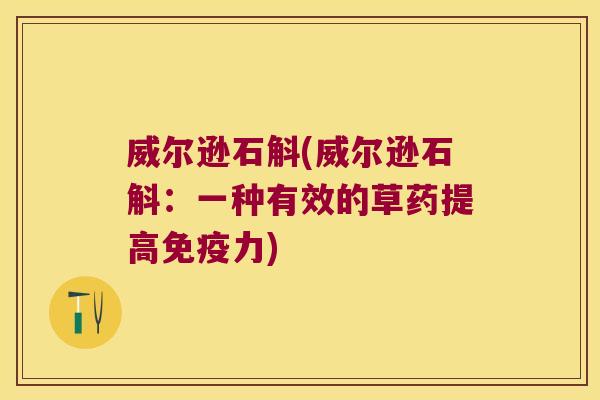 威尔逊石斛(威尔逊石斛：一种有效的草药提高免疫力)