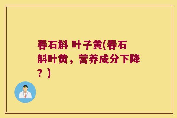 春石斛 叶子黄(春石斛叶黄，营养成分下降？)