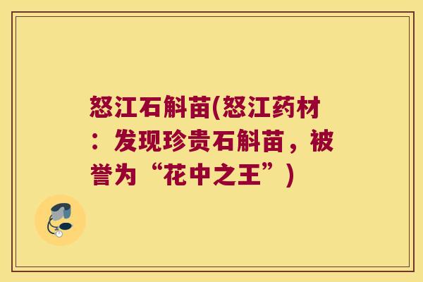 怒江石斛苗(怒江药材：发现珍贵石斛苗，被誉为“花中之王”)