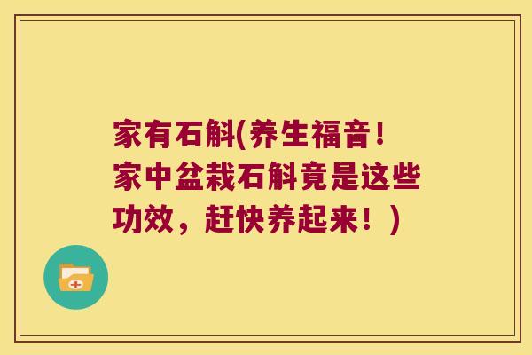 家有石斛(养生福音！家中盆栽石斛竟是这些功效，赶快养起来！)