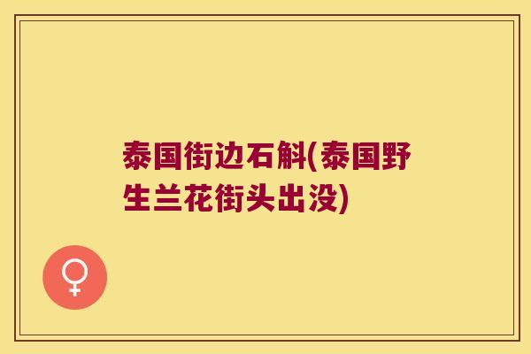 泰国街边石斛(泰国野生兰花街头出没)