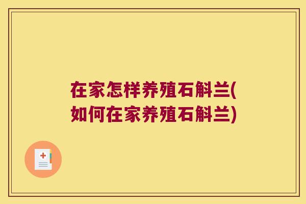 在家怎样养殖石斛兰(如何在家养殖石斛兰)