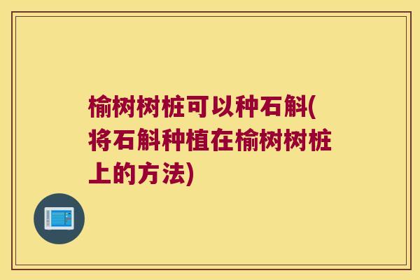 榆树树桩可以种石斛(将石斛种植在榆树树桩上的方法)