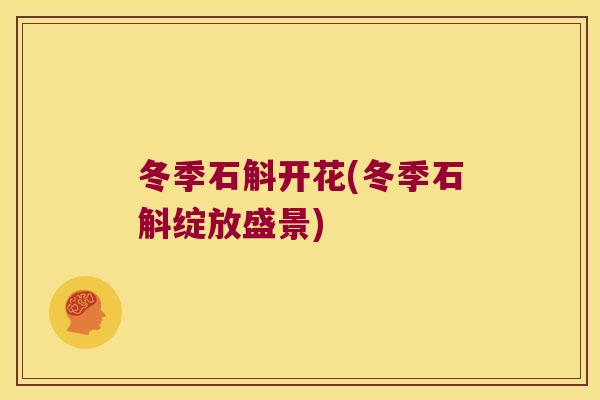 冬季石斛开花(冬季石斛绽放盛景)