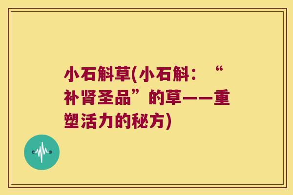 小石斛草(小石斛：“补肾圣品”的草——重塑活力的秘方)