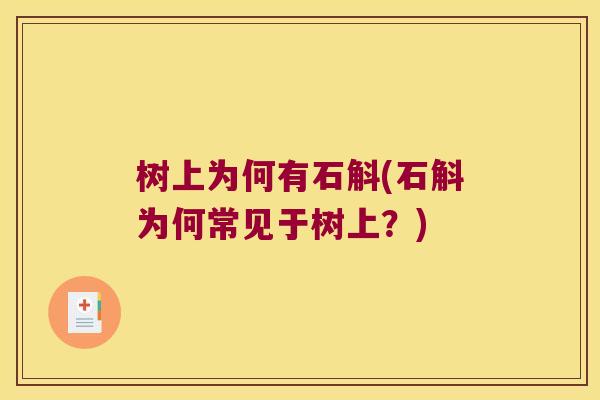 树上为何有石斛(石斛为何常见于树上？)