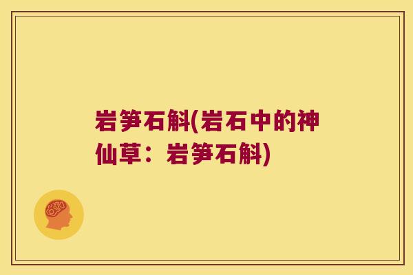 岩笋石斛(岩石中的神仙草：岩笋石斛)