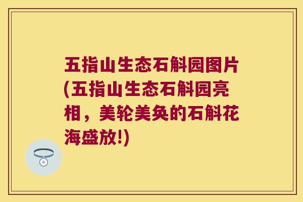 五指山生态石斛园图片(五指山生态石斛园亮相，美轮美奂的石斛花海盛放!)
