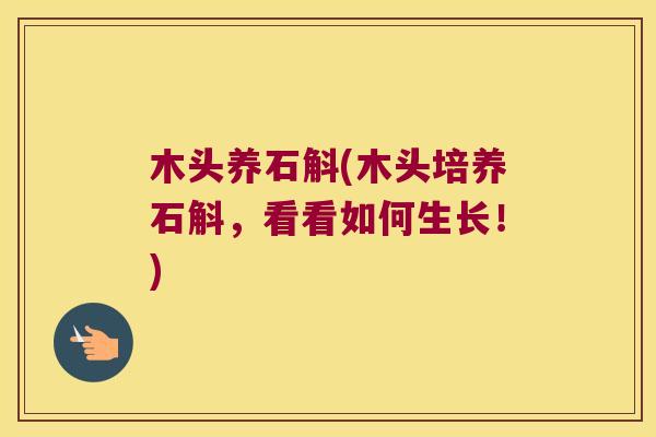 木头养石斛(木头培养石斛，看看如何生长！)