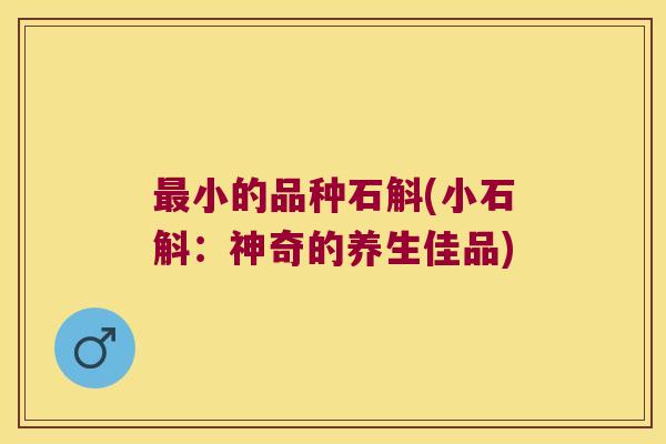 最小的品种石斛(小石斛：神奇的养生佳品)