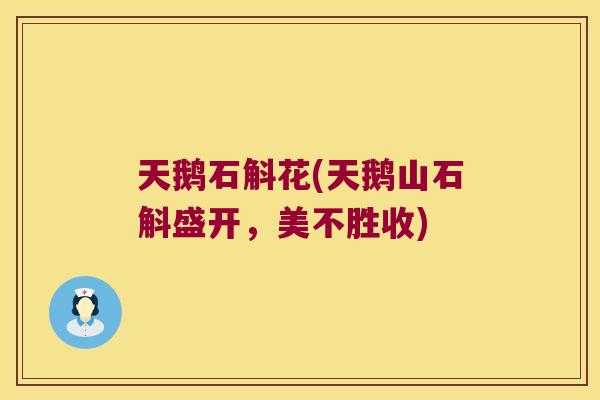 天鹅石斛花(天鹅山石斛盛开，美不胜收)