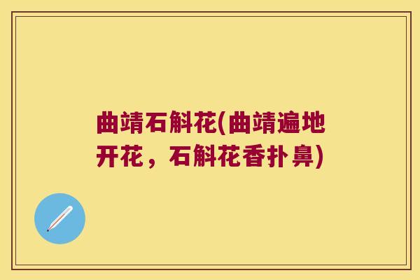 曲靖石斛花(曲靖遍地开花，石斛花香扑鼻)