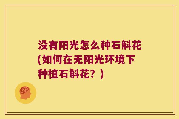 没有阳光怎么种石斛花(如何在无阳光环境下种植石斛花？)