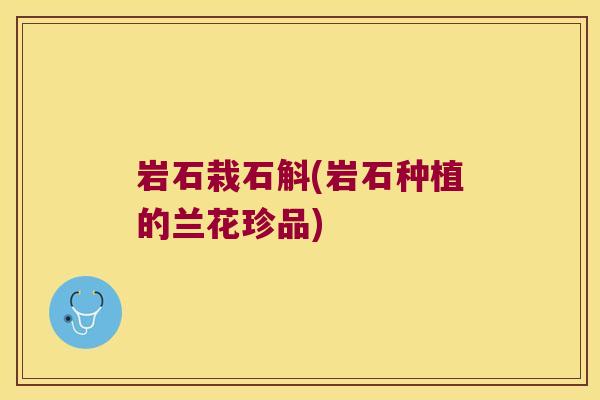 岩石栽石斛(岩石种植的兰花珍品)