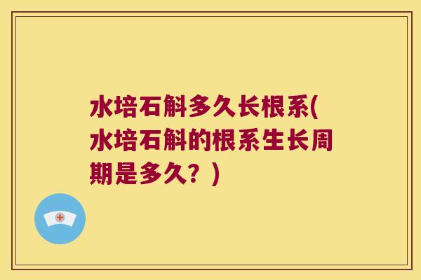 水培石斛多久长根系(水培石斛的根系生长周期是多久？)