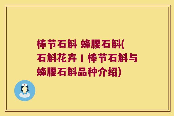 棒节石斛 蜂腰石斛(石斛花卉丨棒节石斛与蜂腰石斛品种介绍)