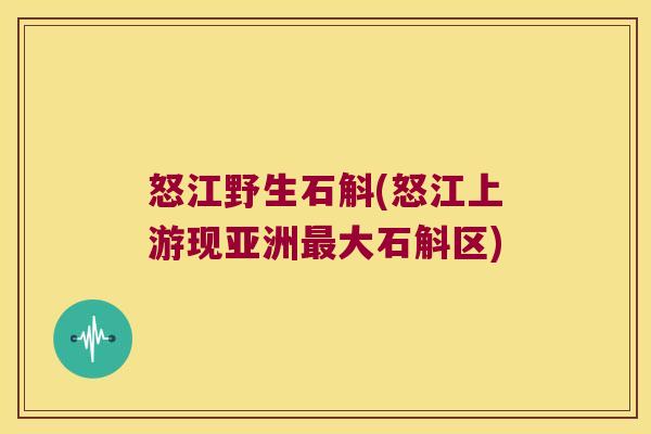 怒江野生石斛(怒江上游现亚洲最大石斛区)