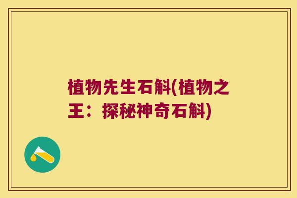 植物先生石斛(植物之王：探秘神奇石斛)