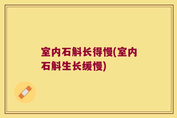 室内石斛长得慢(室内石斛生长缓慢)